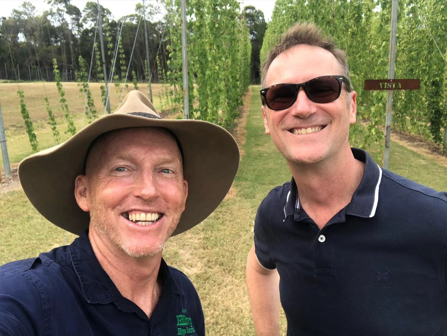 During harvest we run a motion activated camera to see what wildlife is attracted to the farm. I&rsquo;m excited to report a detection of this rarely seen (these days) species Mattus kirkegaardius, likely attracted by the aroma of maturing hop flower