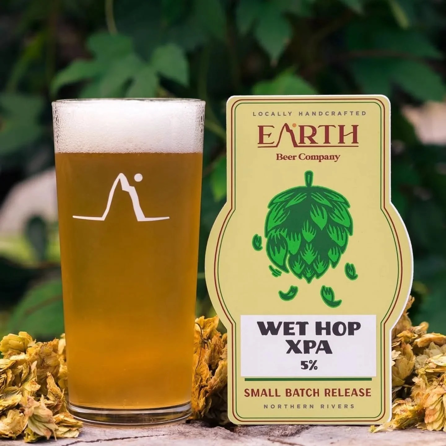 Thanks to @earthbeercompany for making this great XPA from our Vista &amp; Cascade