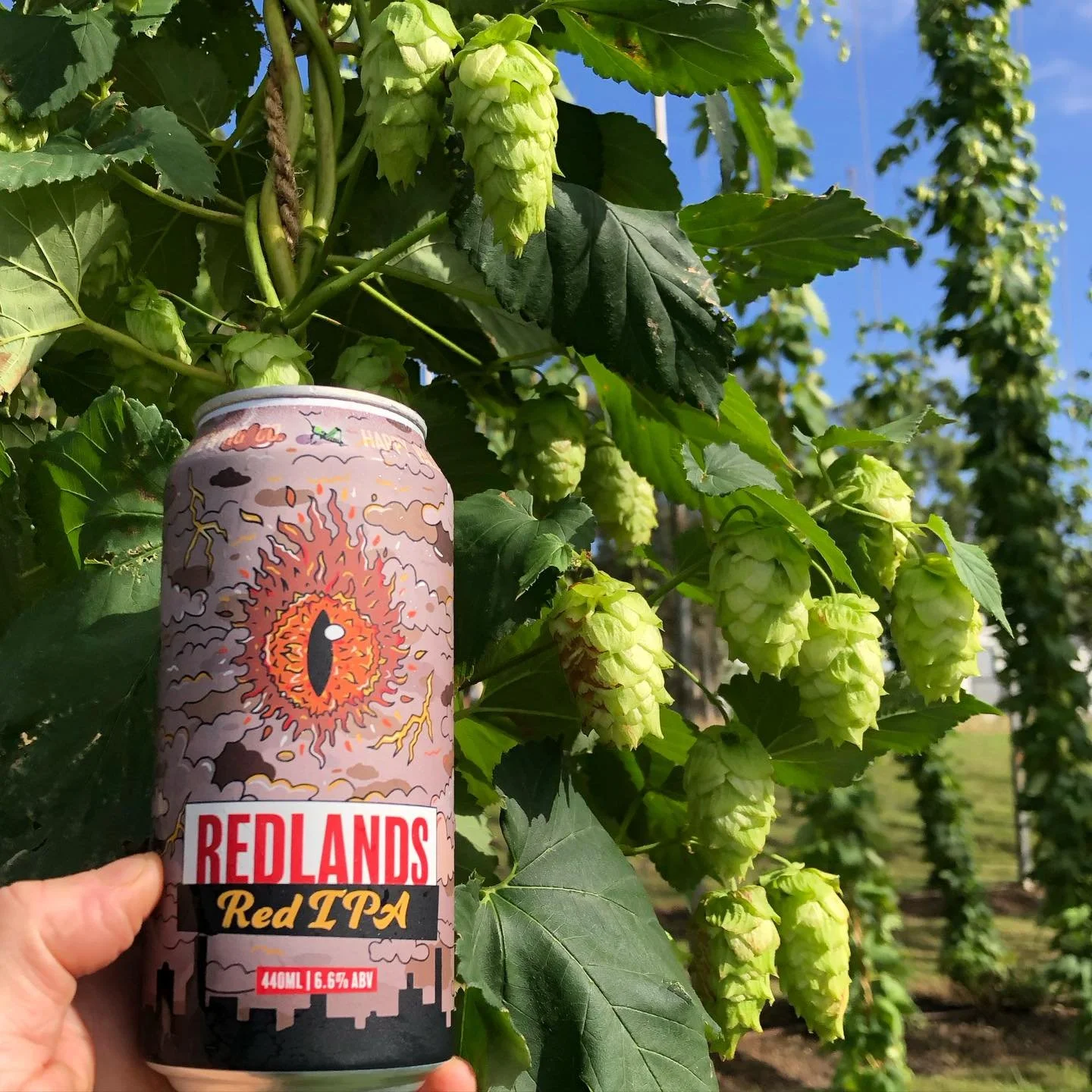 A nice fresh hop red IPA from @happyvalleybrewco, a recommended hydration option at all queensland hop farms and any locations where people take their mouths, including in the Redlands where the hops were grown 🍻😊
