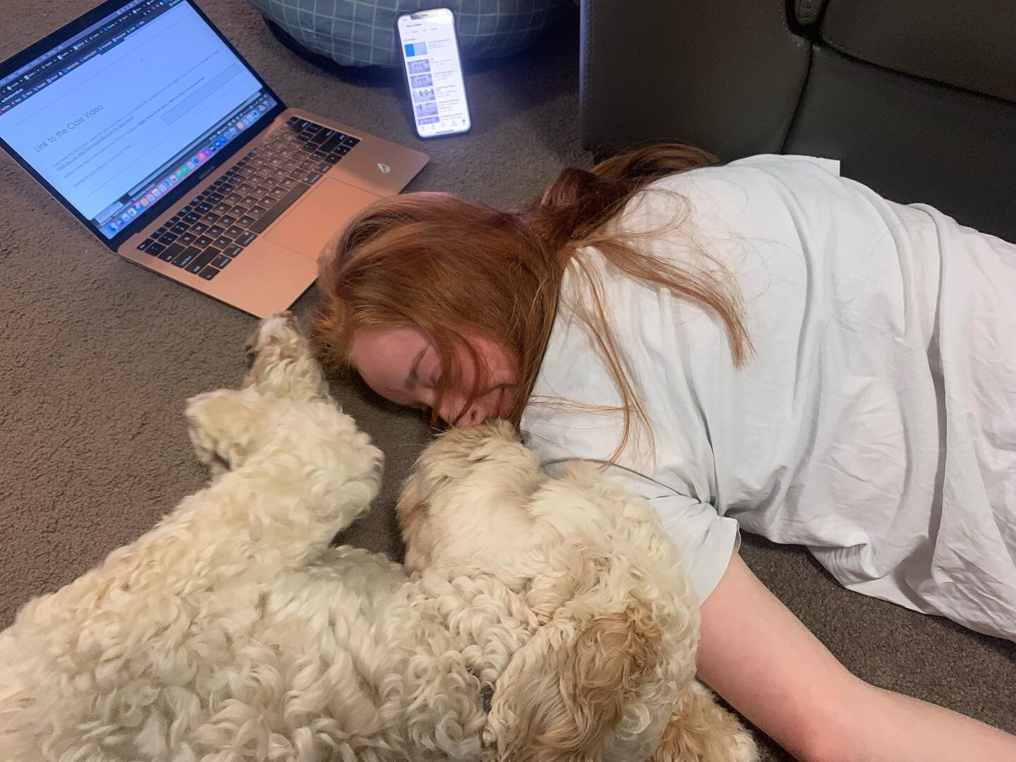 A long hard study session after school. 😂 #australiancobberdog #cobberdogsofinstagram #cobberdog #cobberdogpuppy #acdpuppy #cobberdogs #cobberdogsofbrisbane #dog