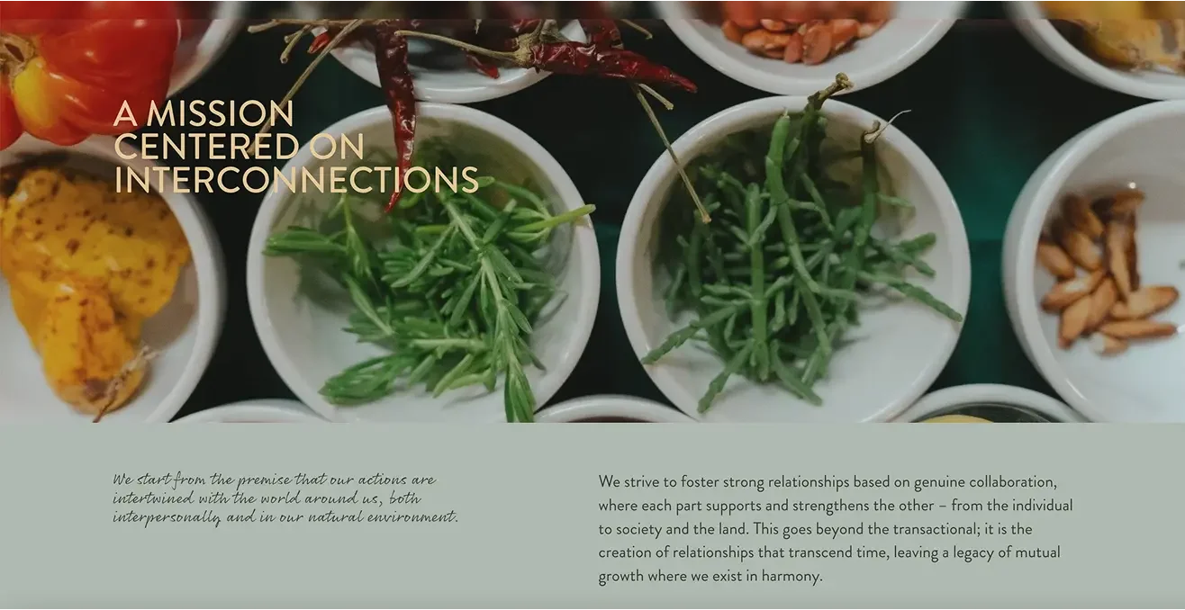 Top-down view of ceramic bowls filled with fresh local ingredients, herbs, and spices for Cincosentidos mission section