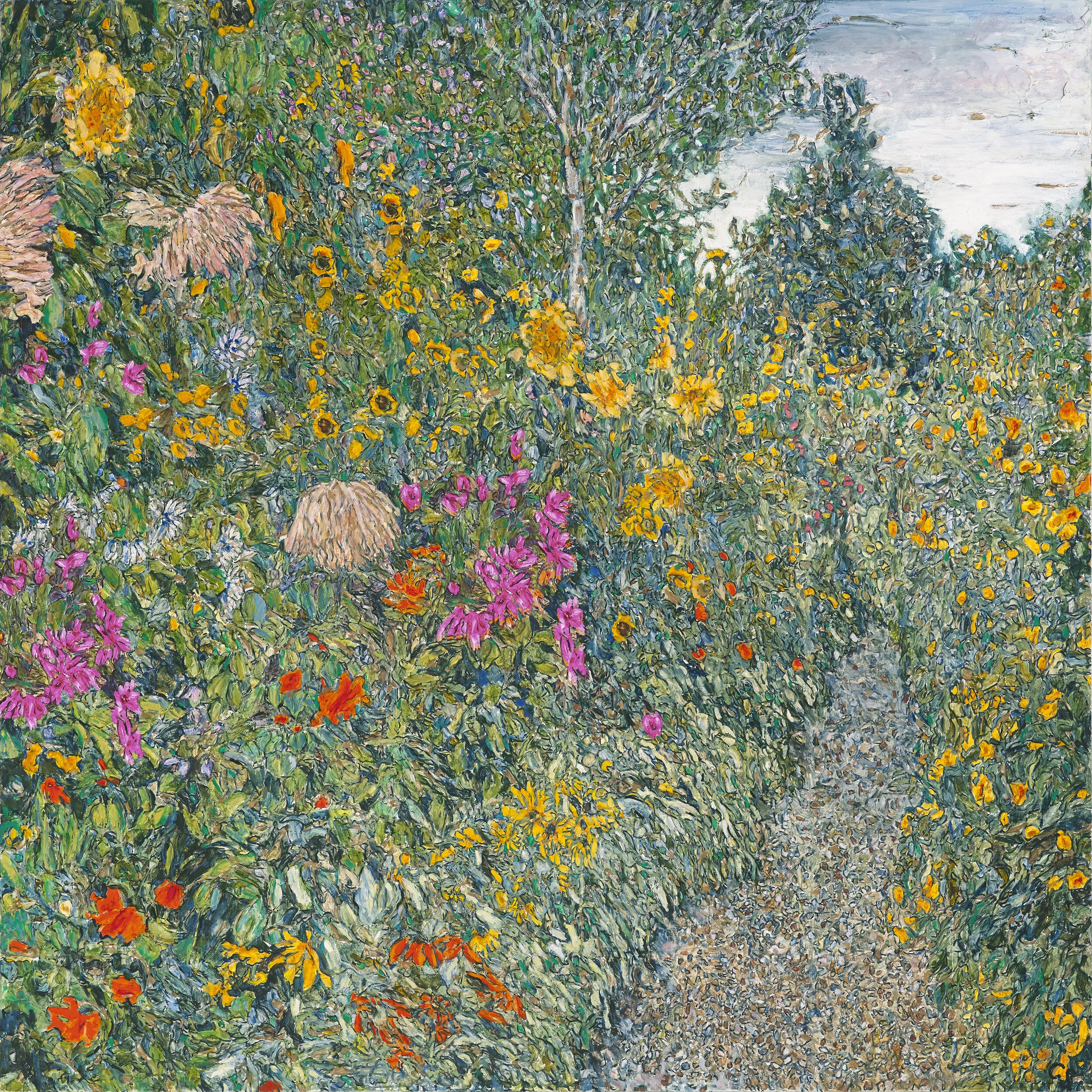 Garden Path With Chrysanthemums