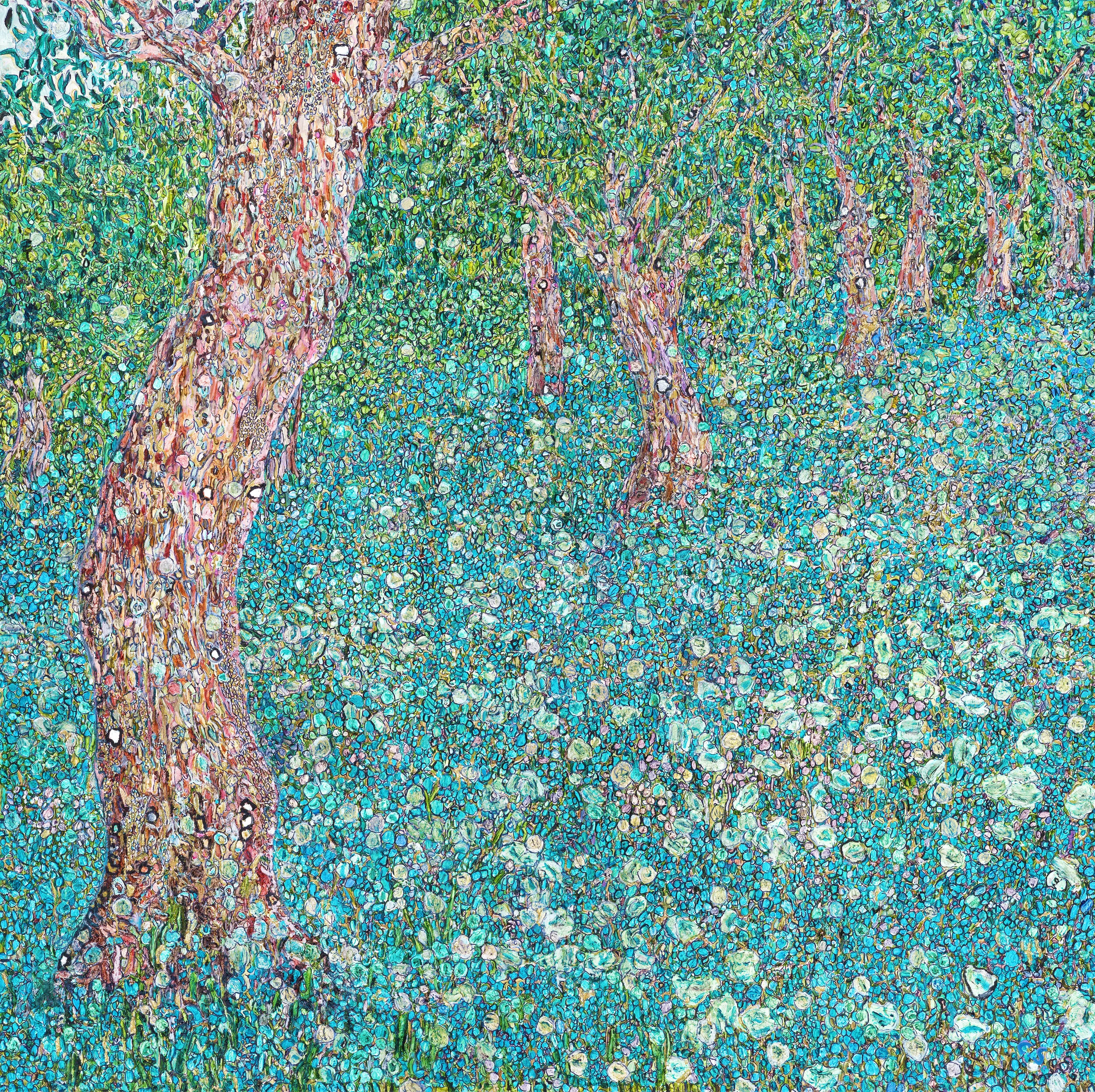 FOR SALE - Olive Trees