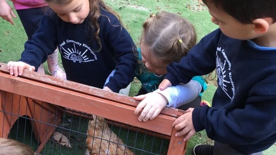 Spring Road Community Kindy