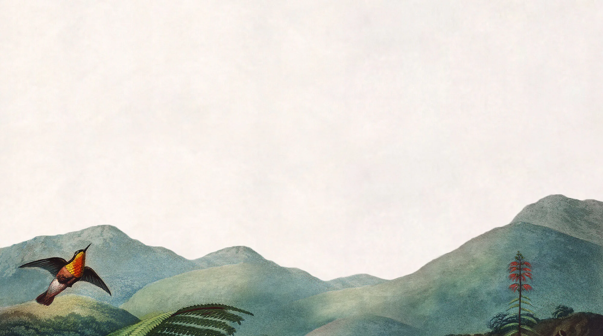 rainforest-2.jpg