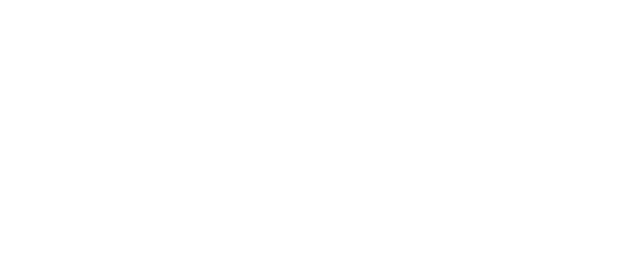 SLN_Logo_White_2.png