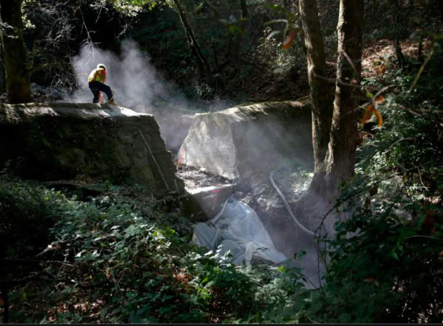 Creek Work In Sonoma Valley To Remove Barriers For Steelhead