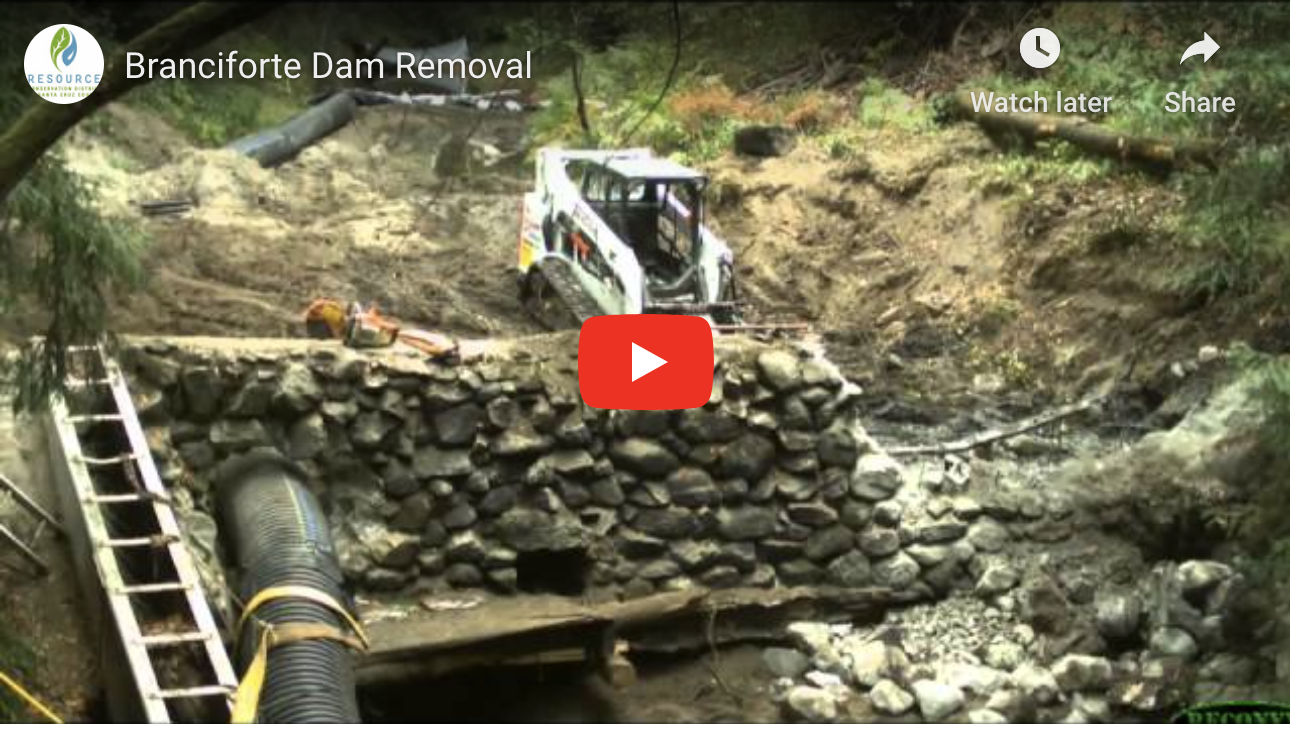 Dam Removed On Branciforte Creek