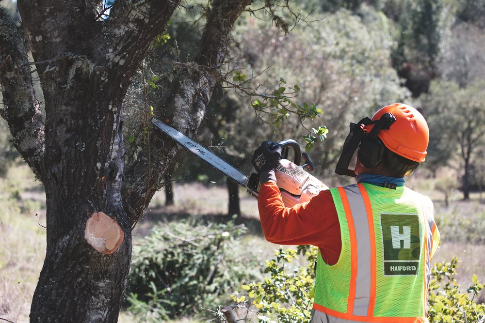Fuel Reduction Services — Hanford Builds