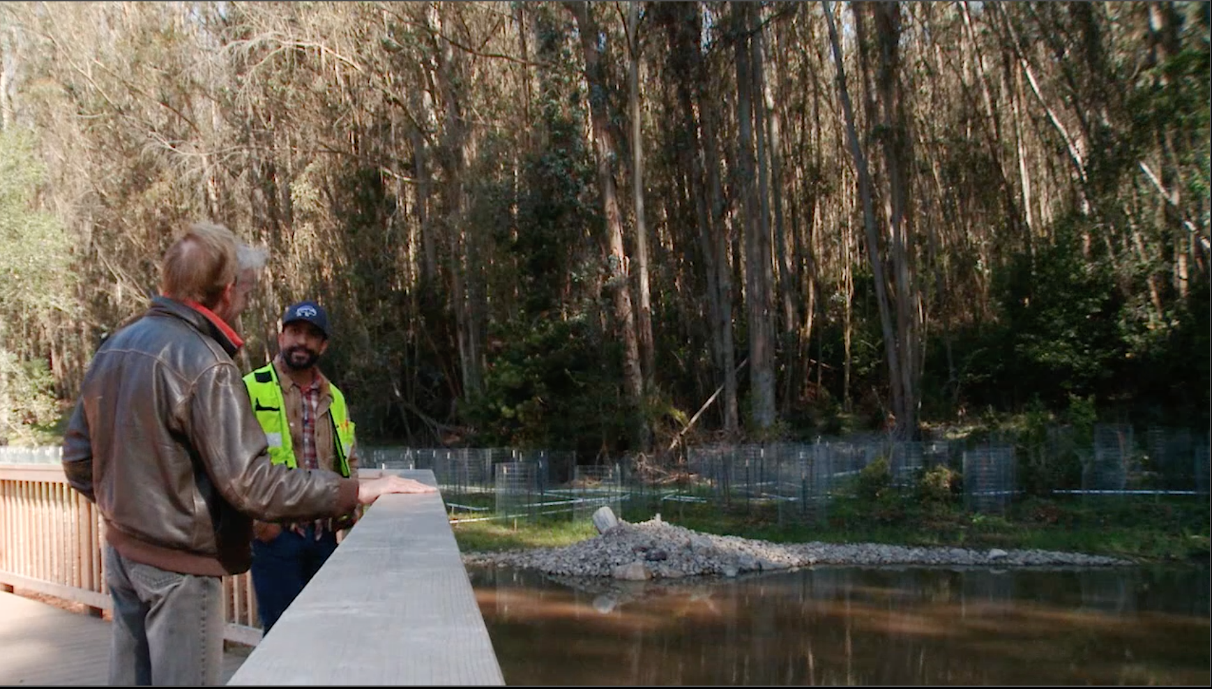 Tilden Park-Redwood Creek Restoration