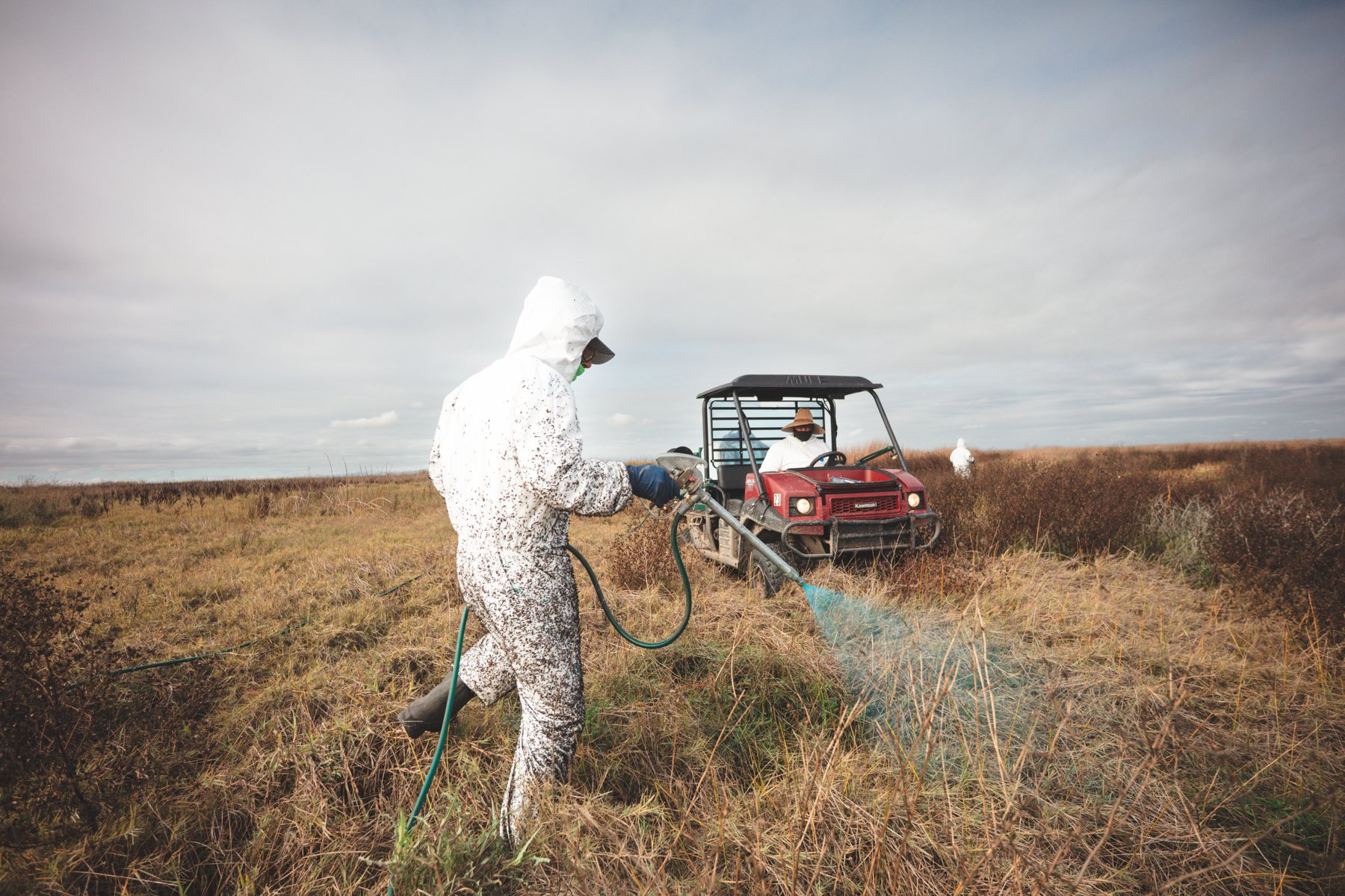 Yolo Ranch Vegetation Management
