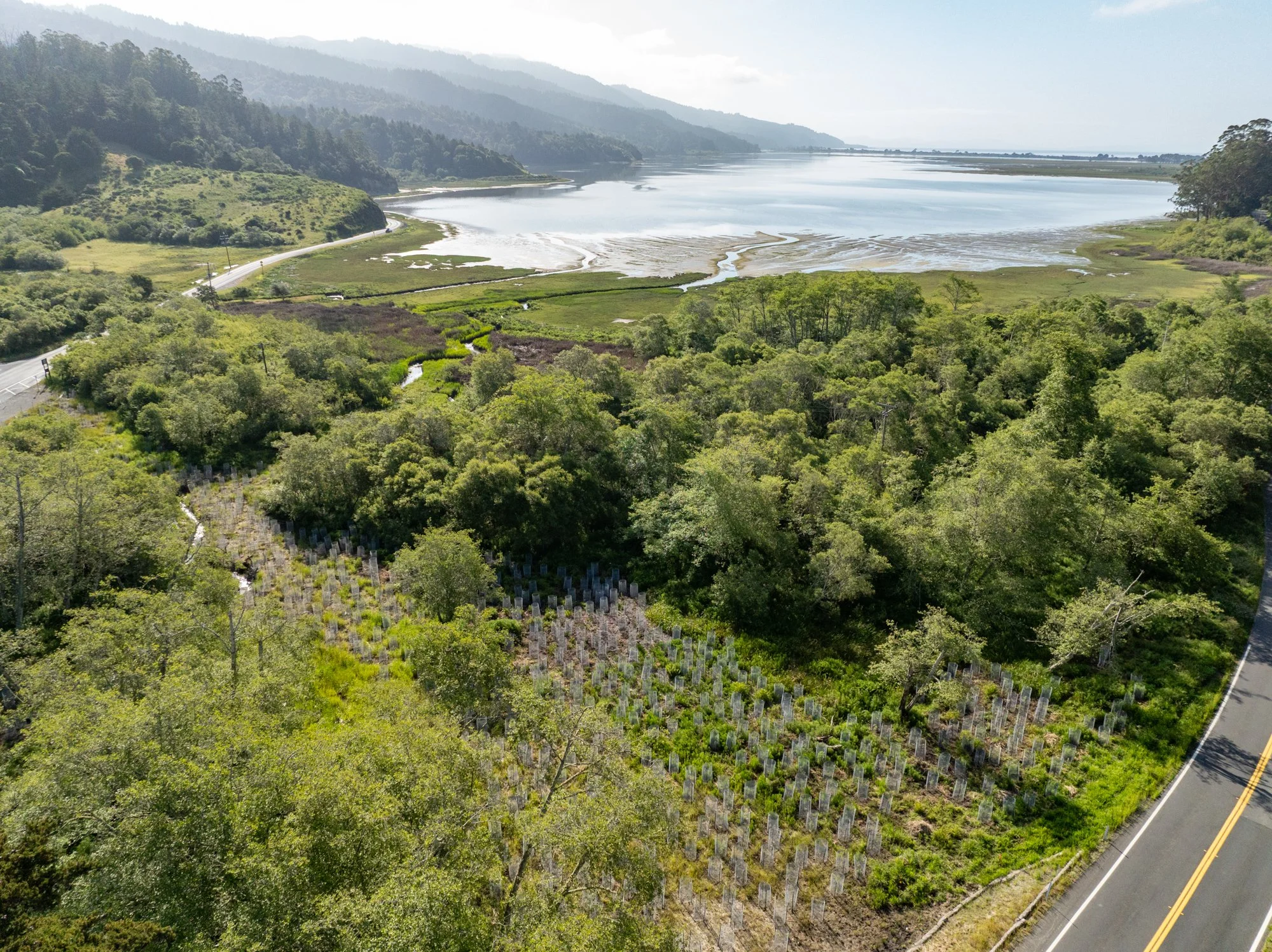 Hanford_Bolinas_2026-18.jpg
