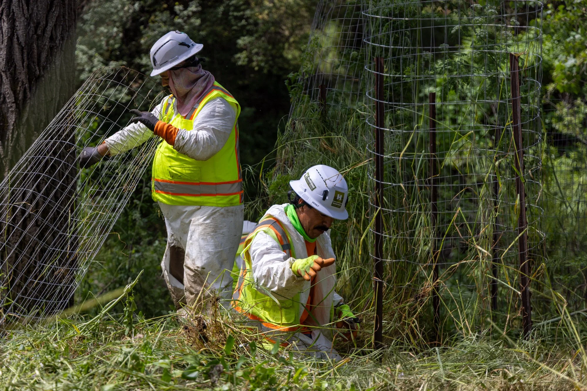 Arroyo de la Laguna Mitigation