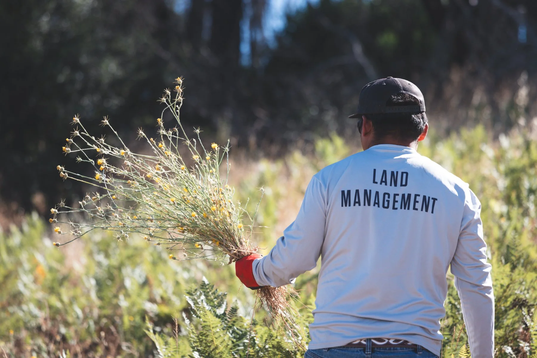 land management team
