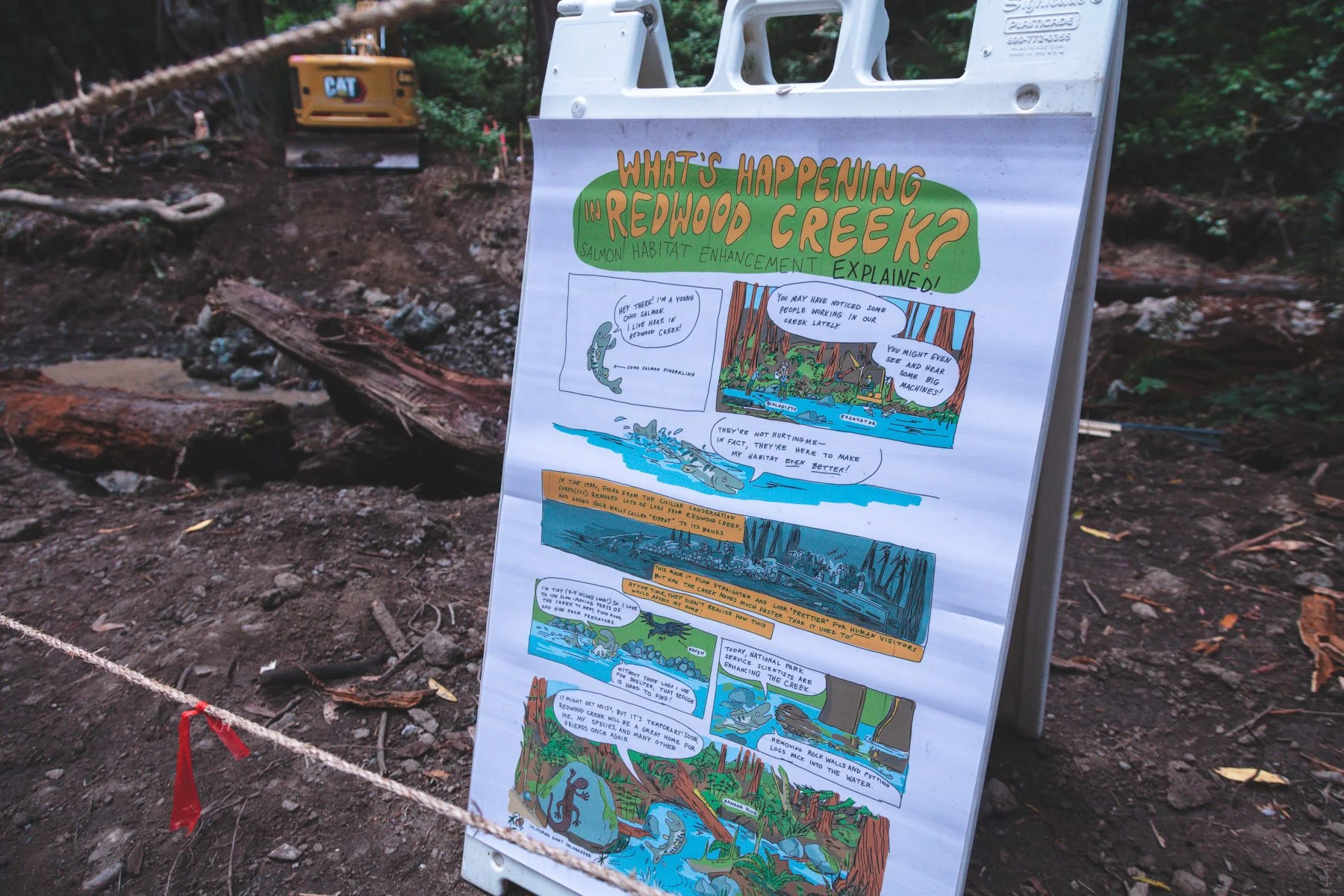 Hanford_Muir_Woods_230905-19.jpg