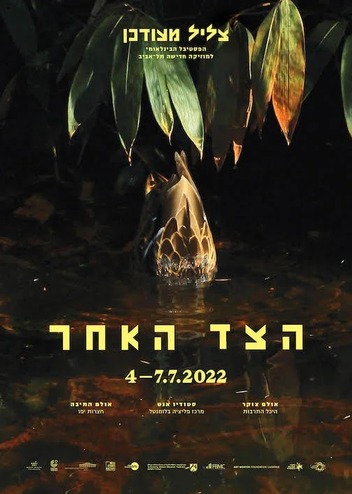 Tzlil Meudcan Festival