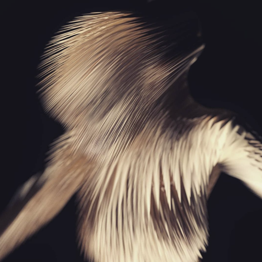 The Disembodied Sublime