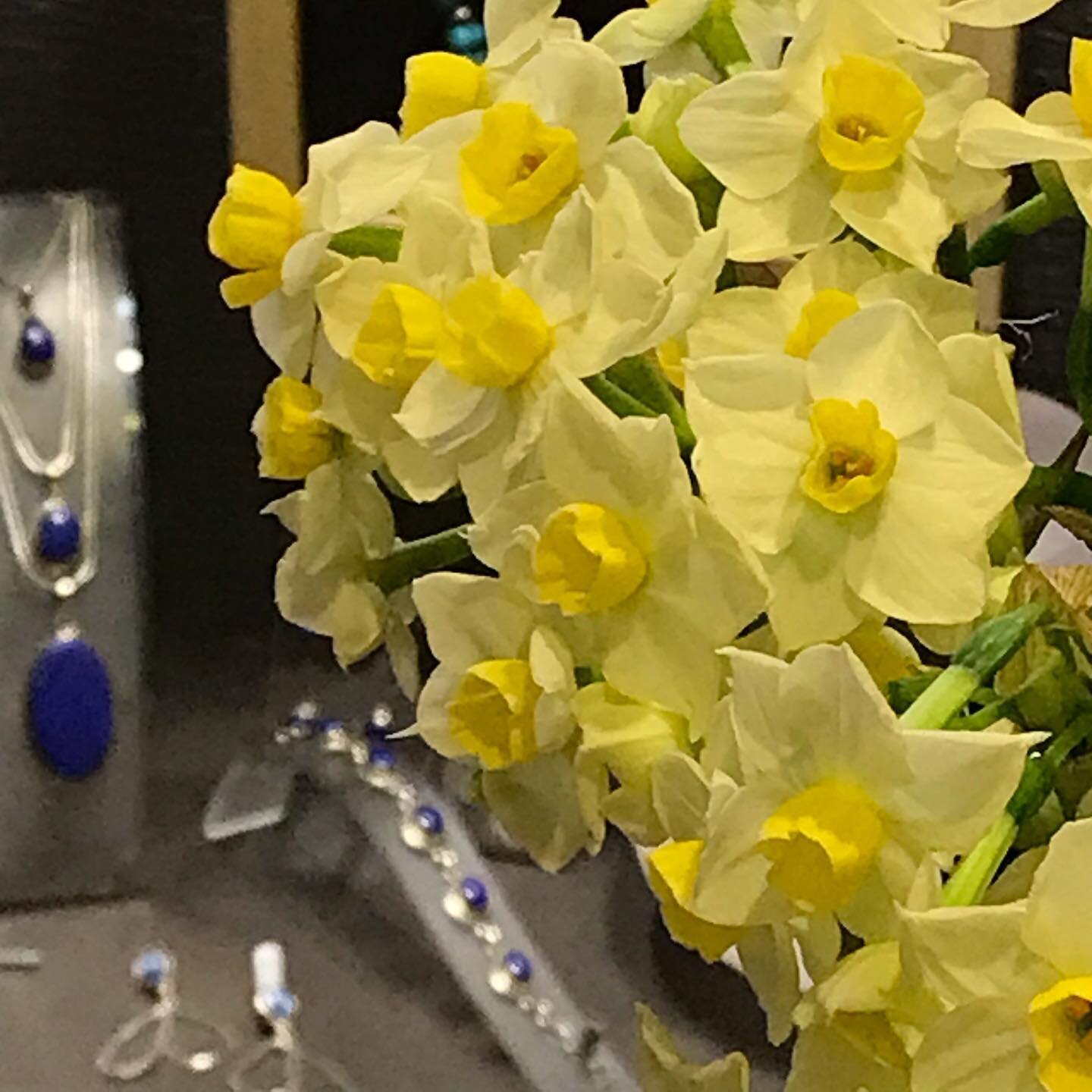 These gorgeous narcissi on our counter have been cheering up a wet and dismal day with their wonderful perfume. Thank you Clare Hayward for this lovely floral reminder that Spring is actually on its way!

Thankfully next week is looking better and ou