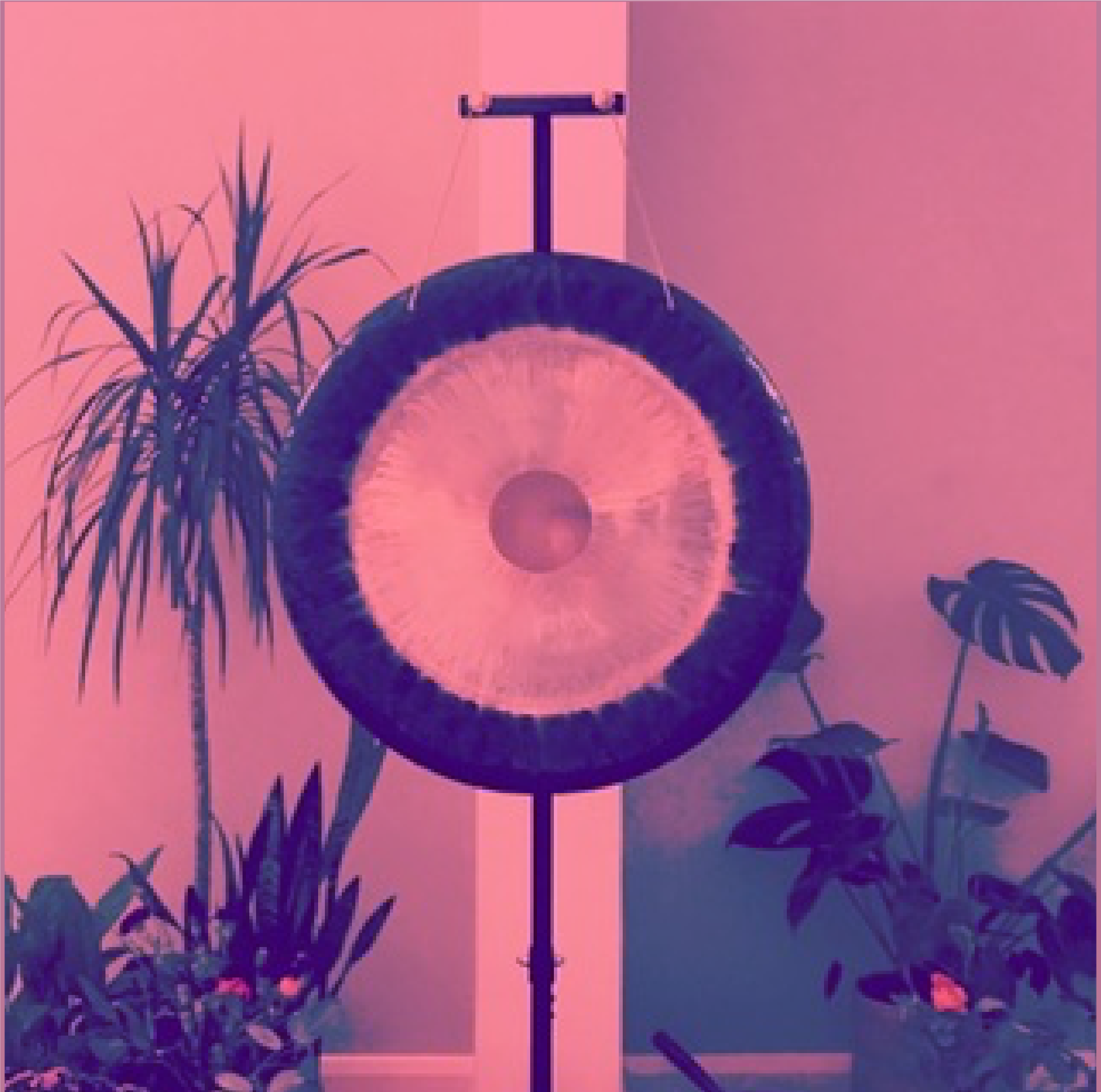 INTO THE HEART OF THE GONG