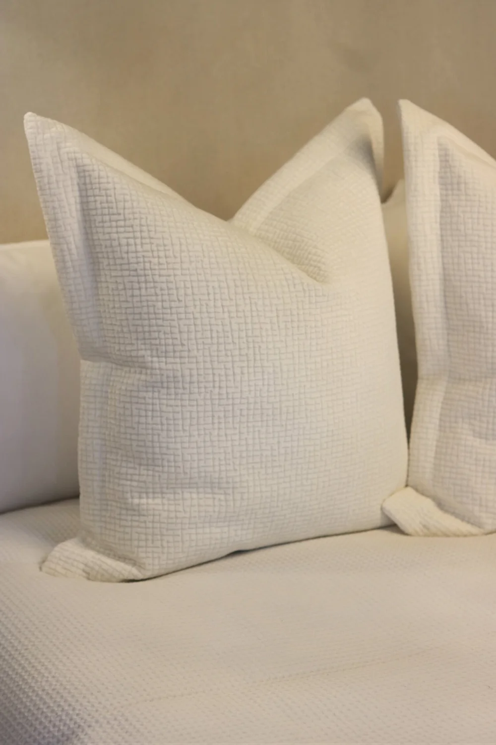 Luxe cushions online