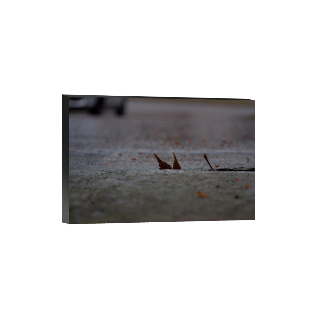 standout_rectangle2_3_8_0_4272_2848_0_false_ffffff_0_0.png