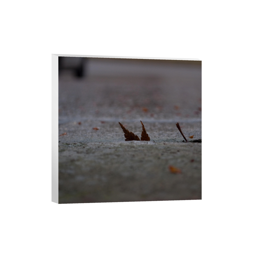 canvas_square_720_0_2848_2848_0_false_ffffff_0_0.png