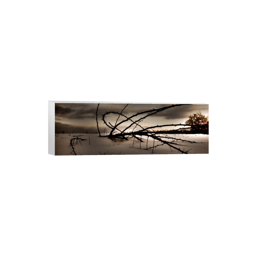 canvas_rectangle1_3_0_755_4012_1337_0_false_ffffff_0_0.png