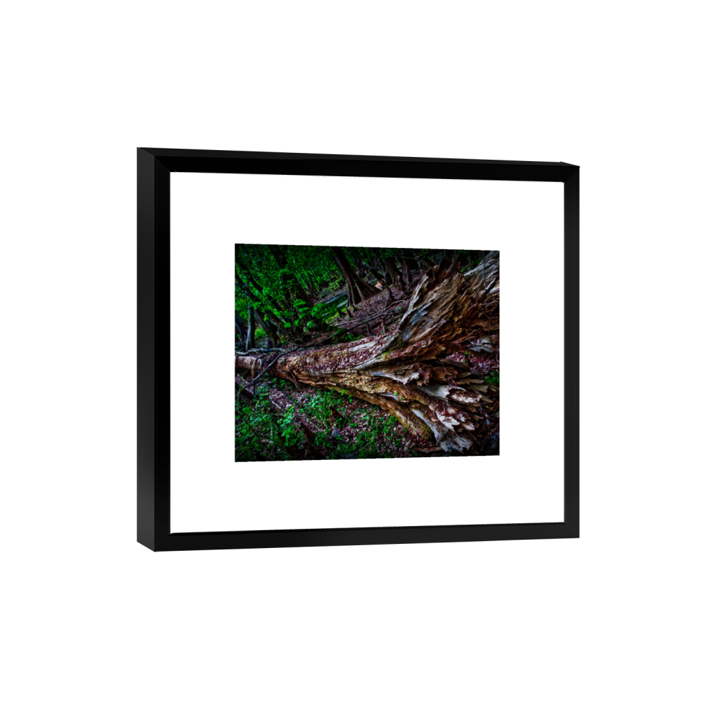 smartframe_rectangle4_5_364_0_3560_2848_0_false_ffffff_0_0.png