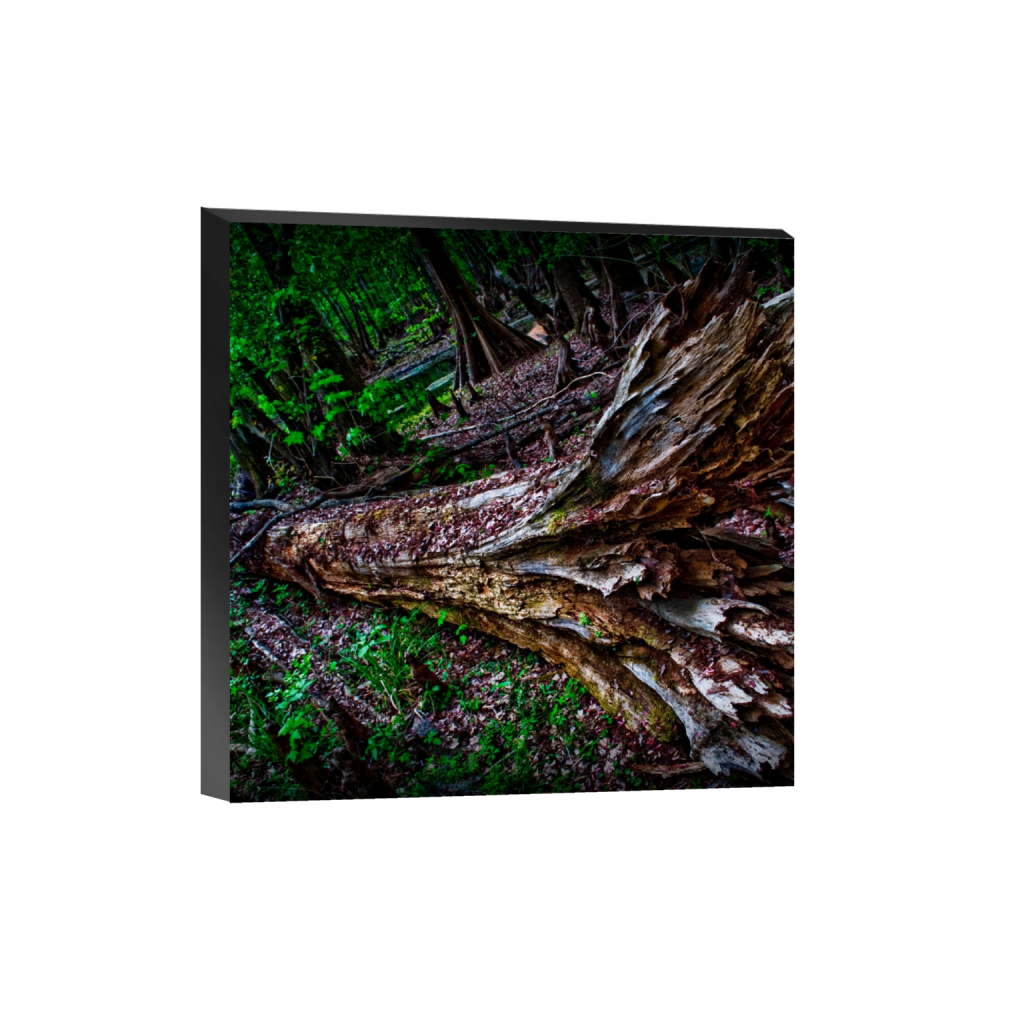 standout_square_720_0_2848_2848_0_false_ffffff_0_0.png