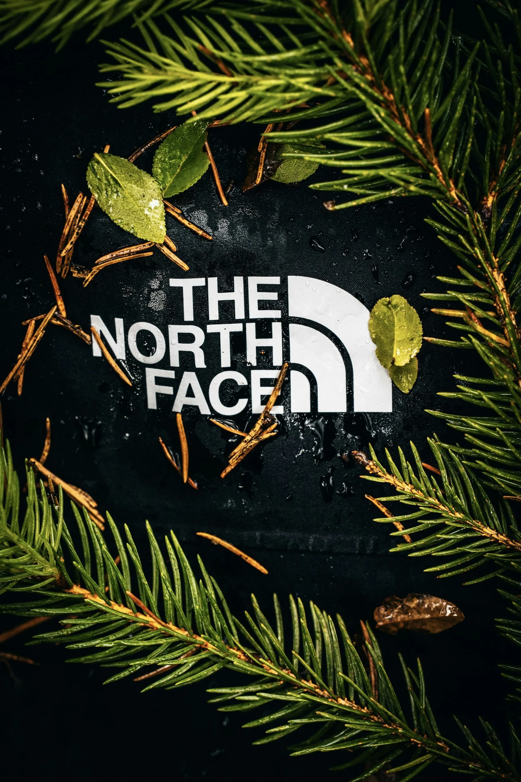 The North Face ClimbFest Golden Ticket Competition