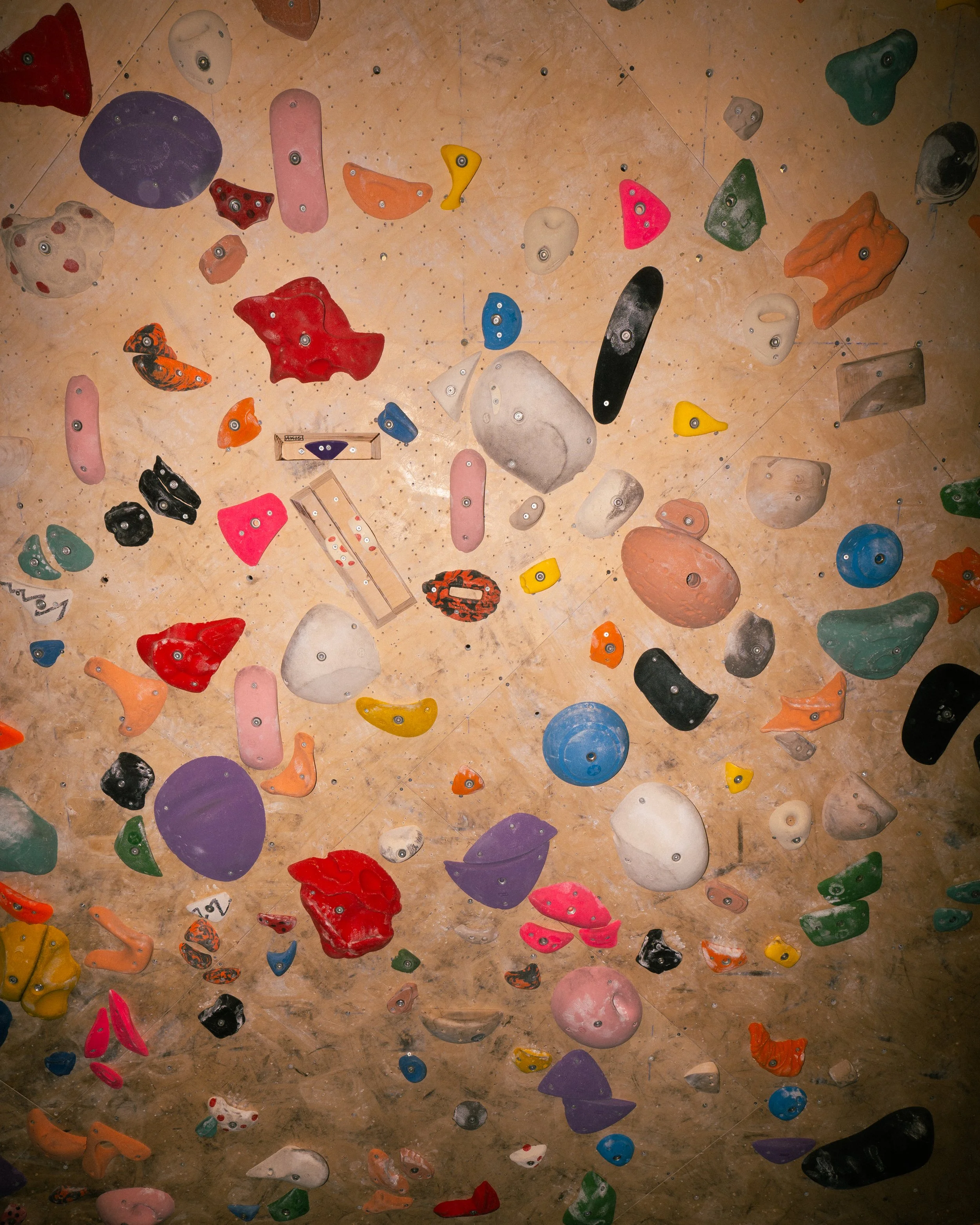 Womens + Board Socials