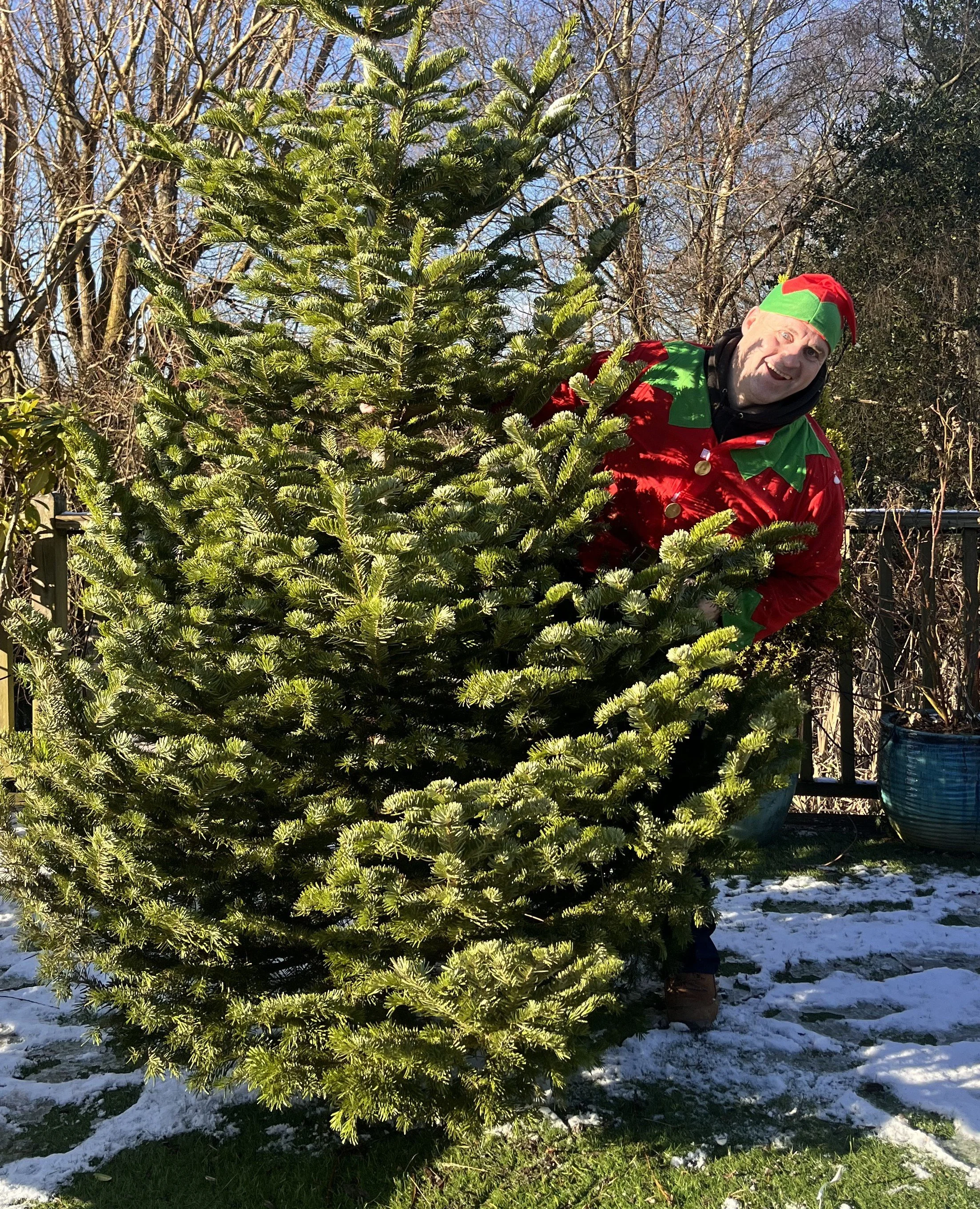 HITW Christmas Tree Recycling