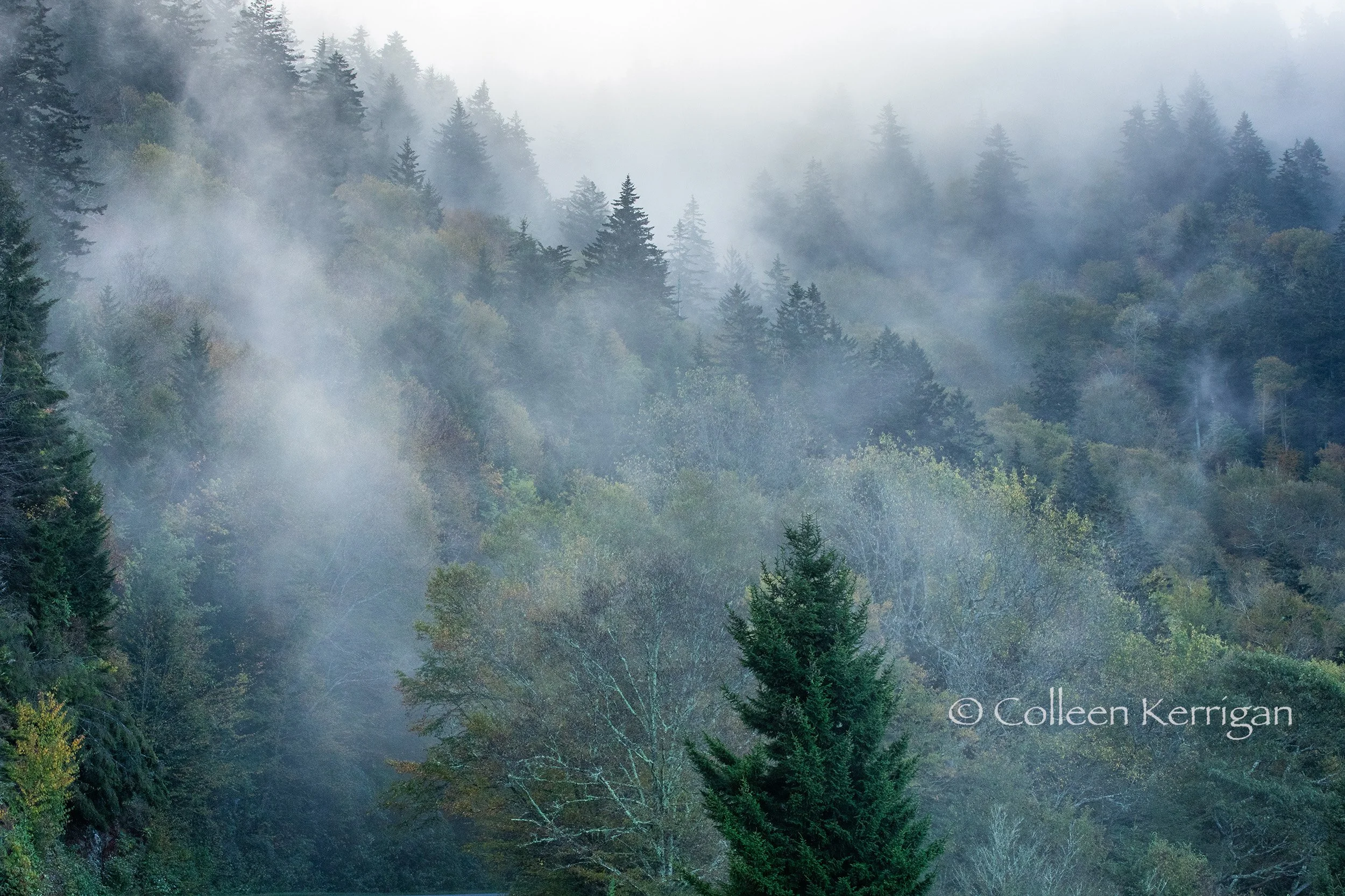 Misty Mountains - Blue Ridge Parkway