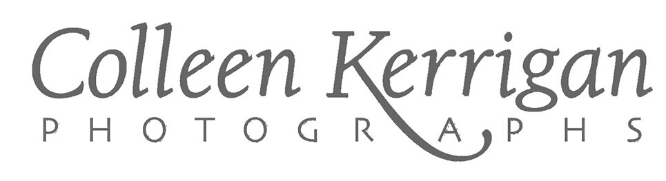 Colleen Kerrigan Photographs - Children, Families and Nature Photography