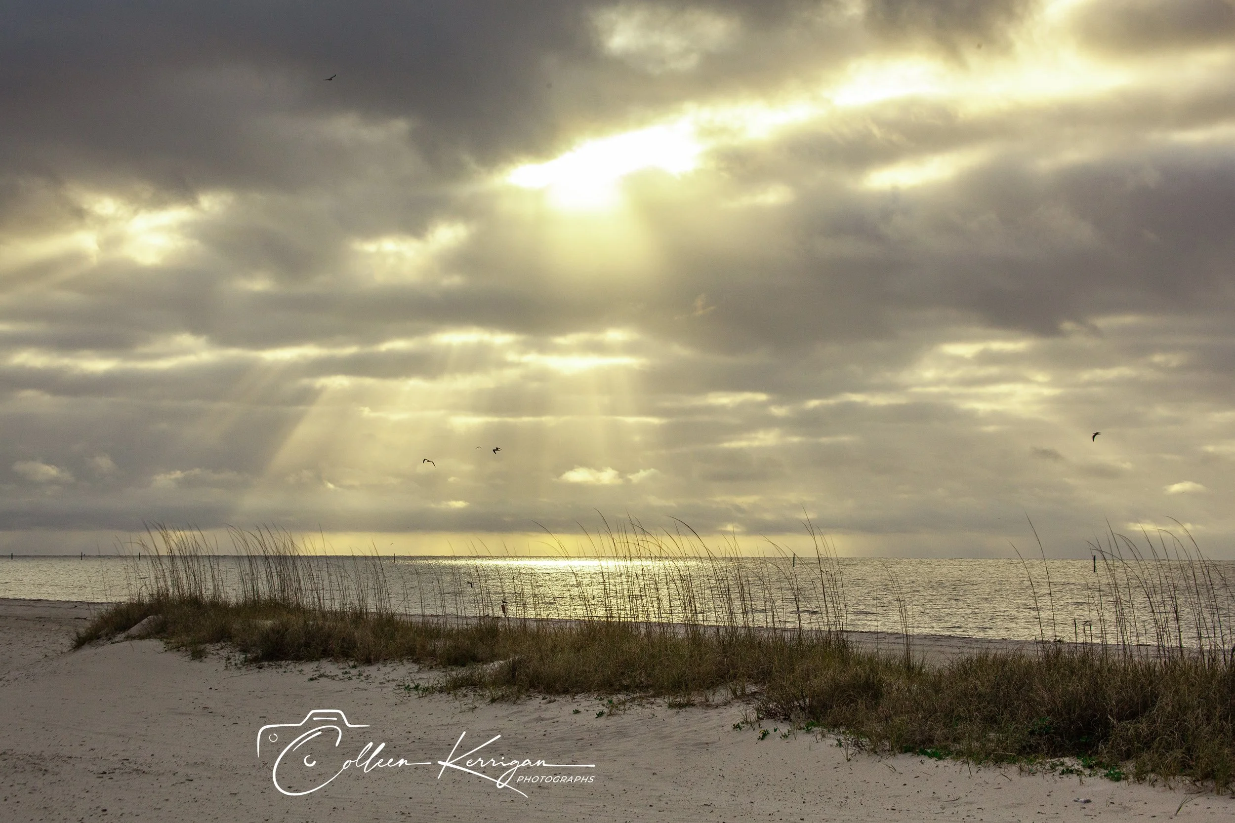"Majestic Rays" ...  Sunrise on the Gulf Coast with SeaGrass