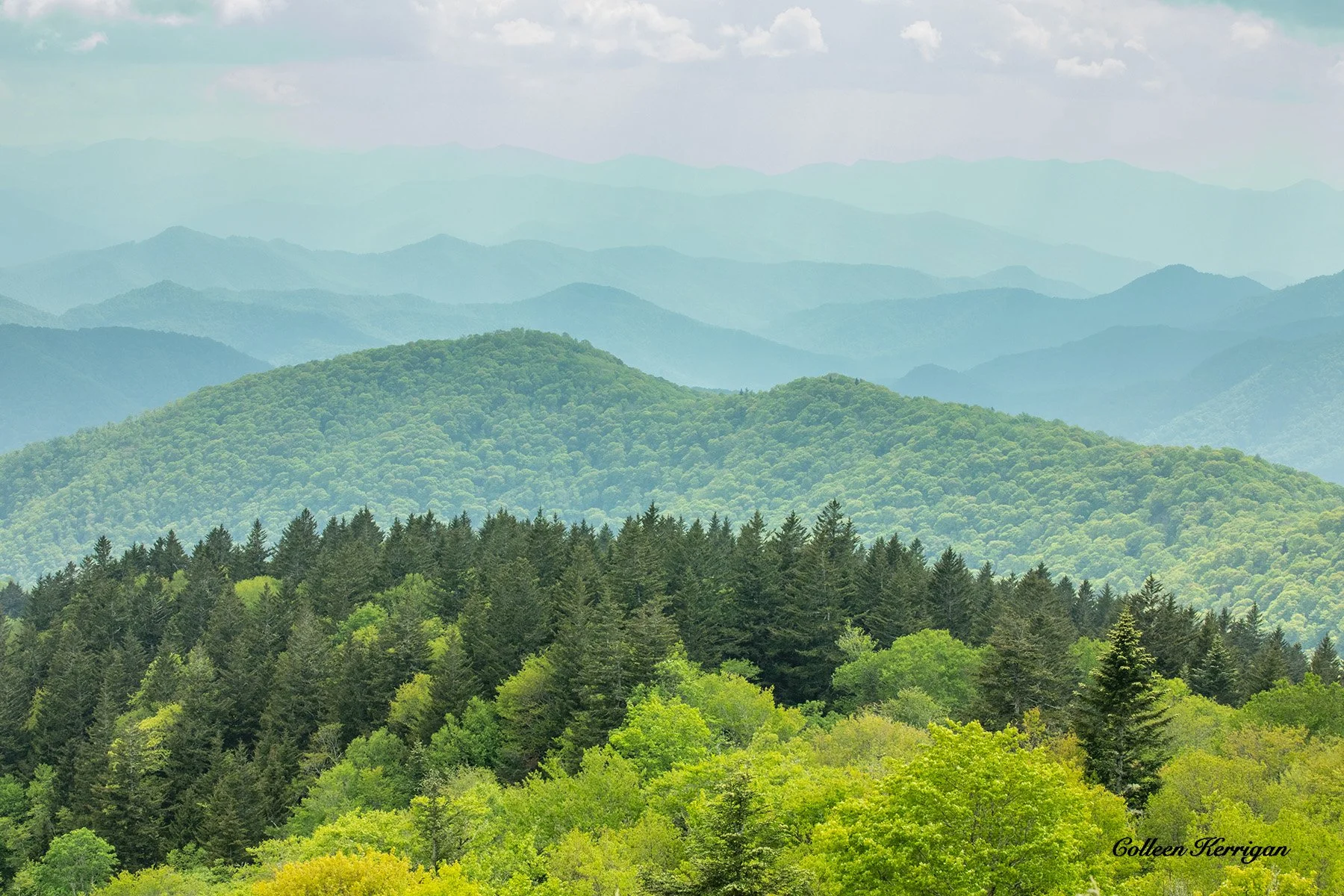 Undulating Green