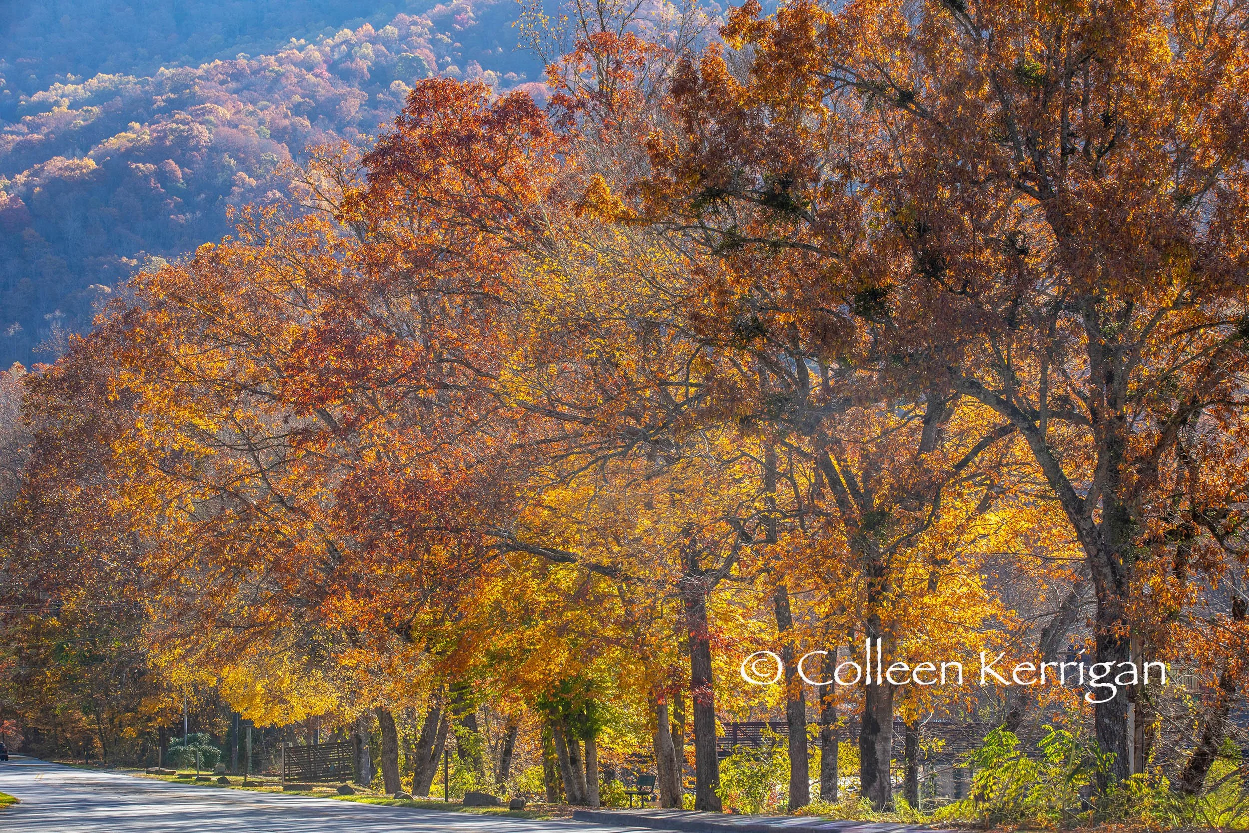 Fall Color - Cherokee Reservation