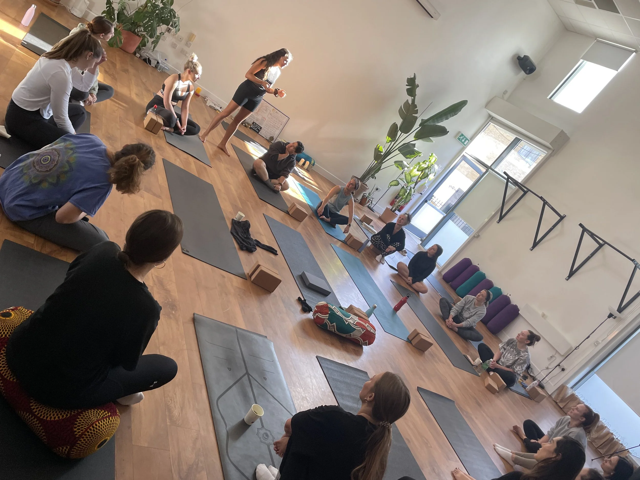 IMG_8981_(2) (1).jpg