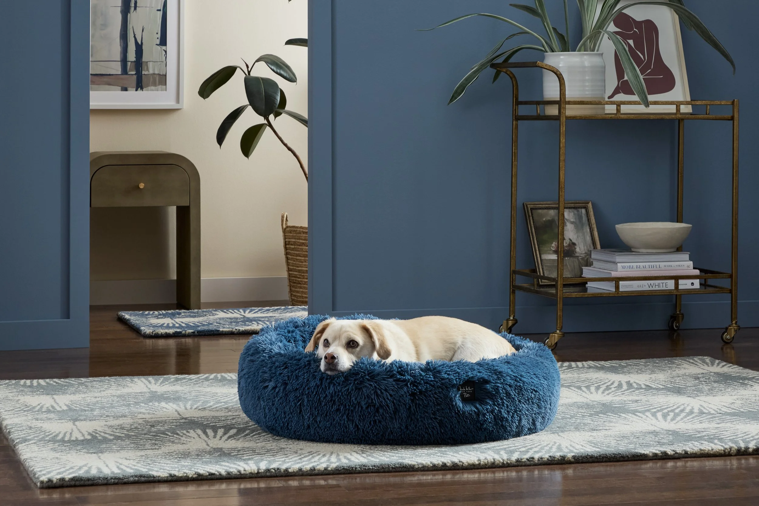NICOLE MILLER_DONUT_BLUE_PET BED LRG_LIFESTYLE_OPTION-10.jpg