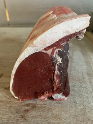 Venison.webp