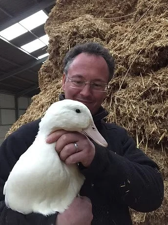 Geese 2.jpeg