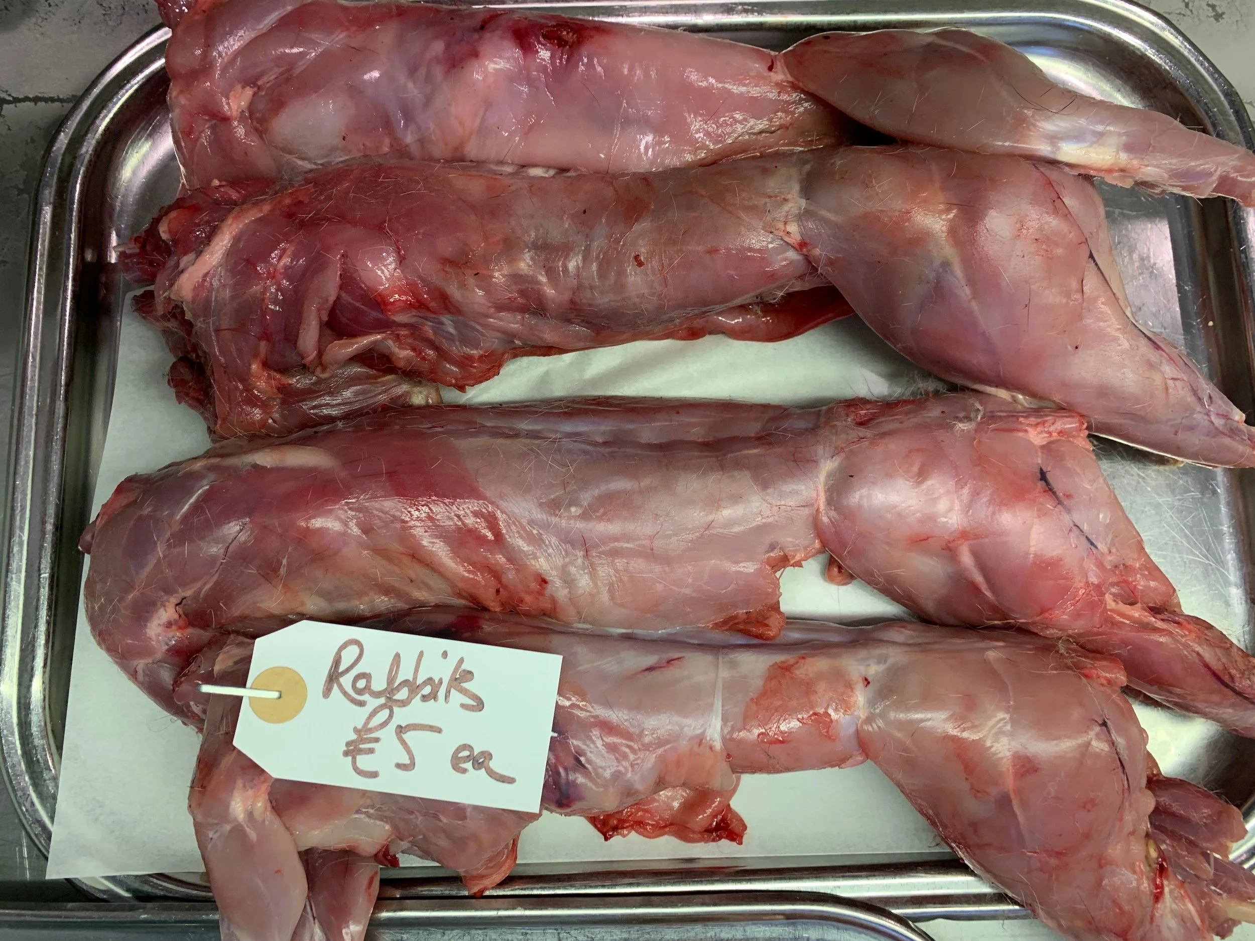 Rabbits.jpg