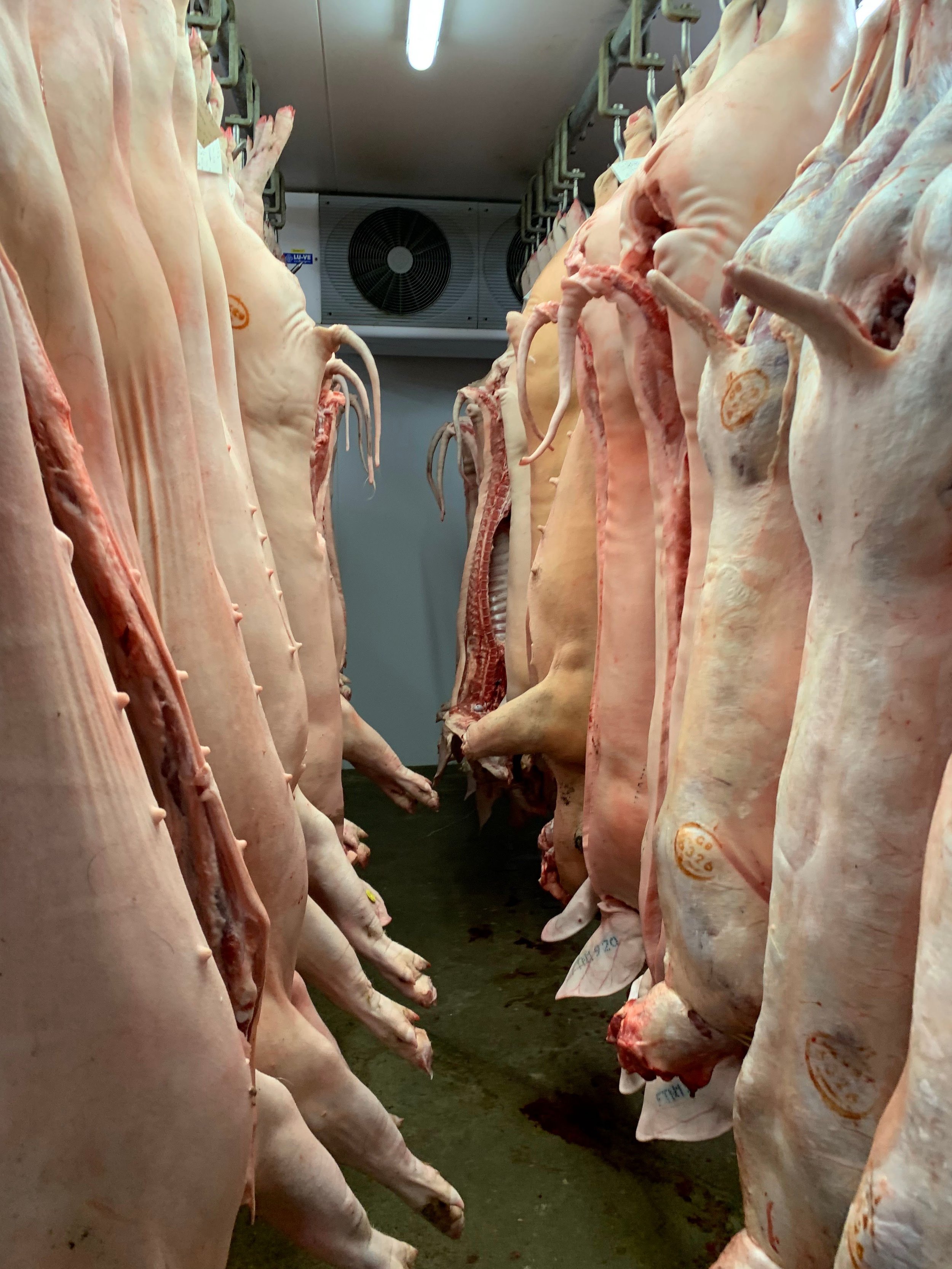 Pigs Hanging.jpg