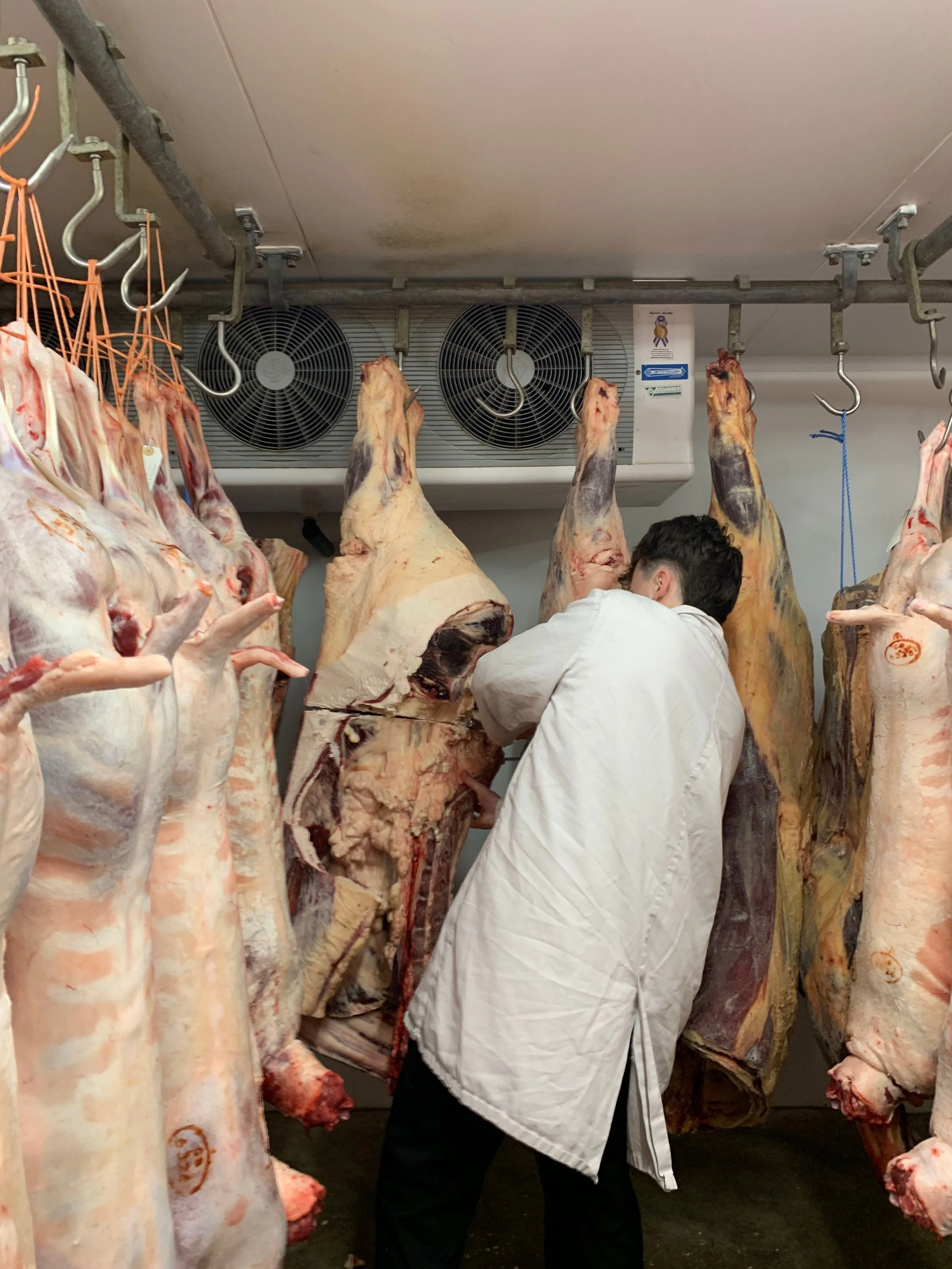 Abattoir