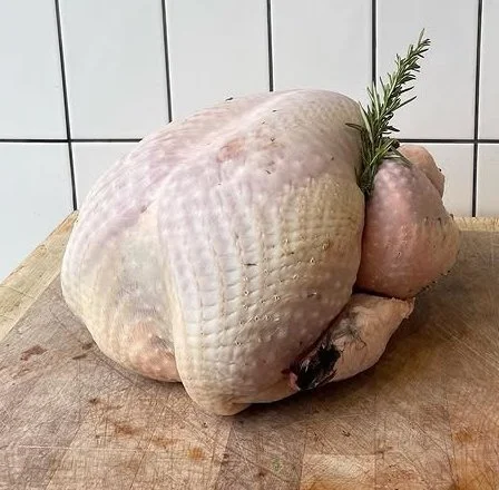 turkey 2.jpg