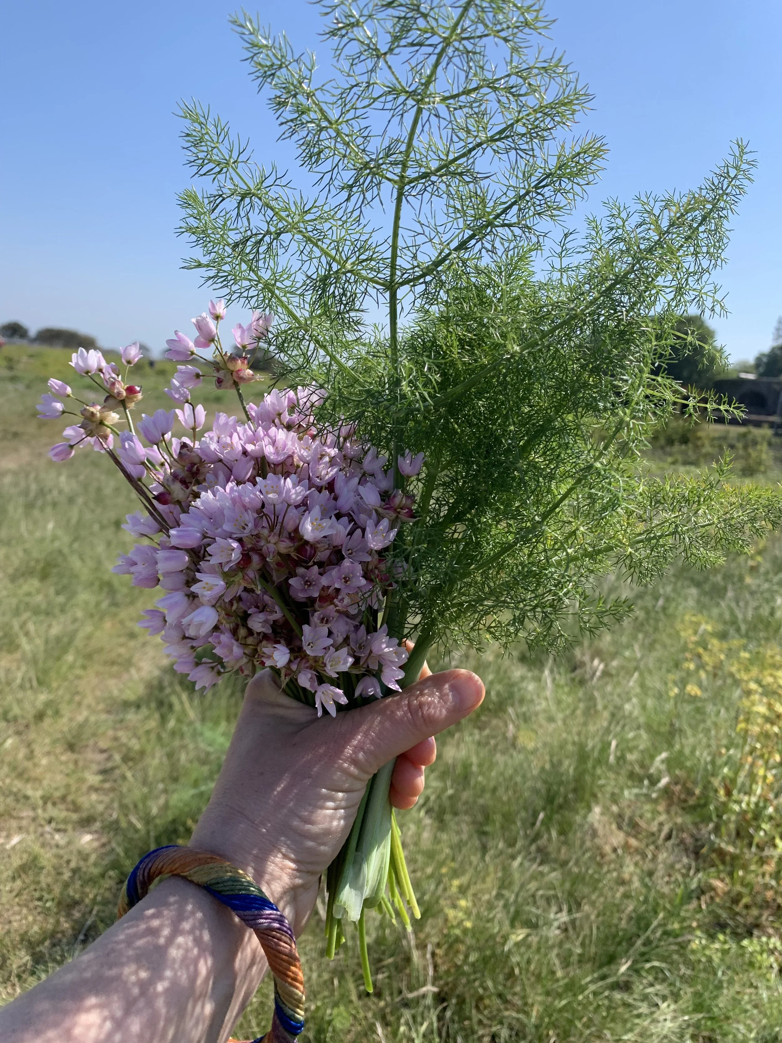 Foraging