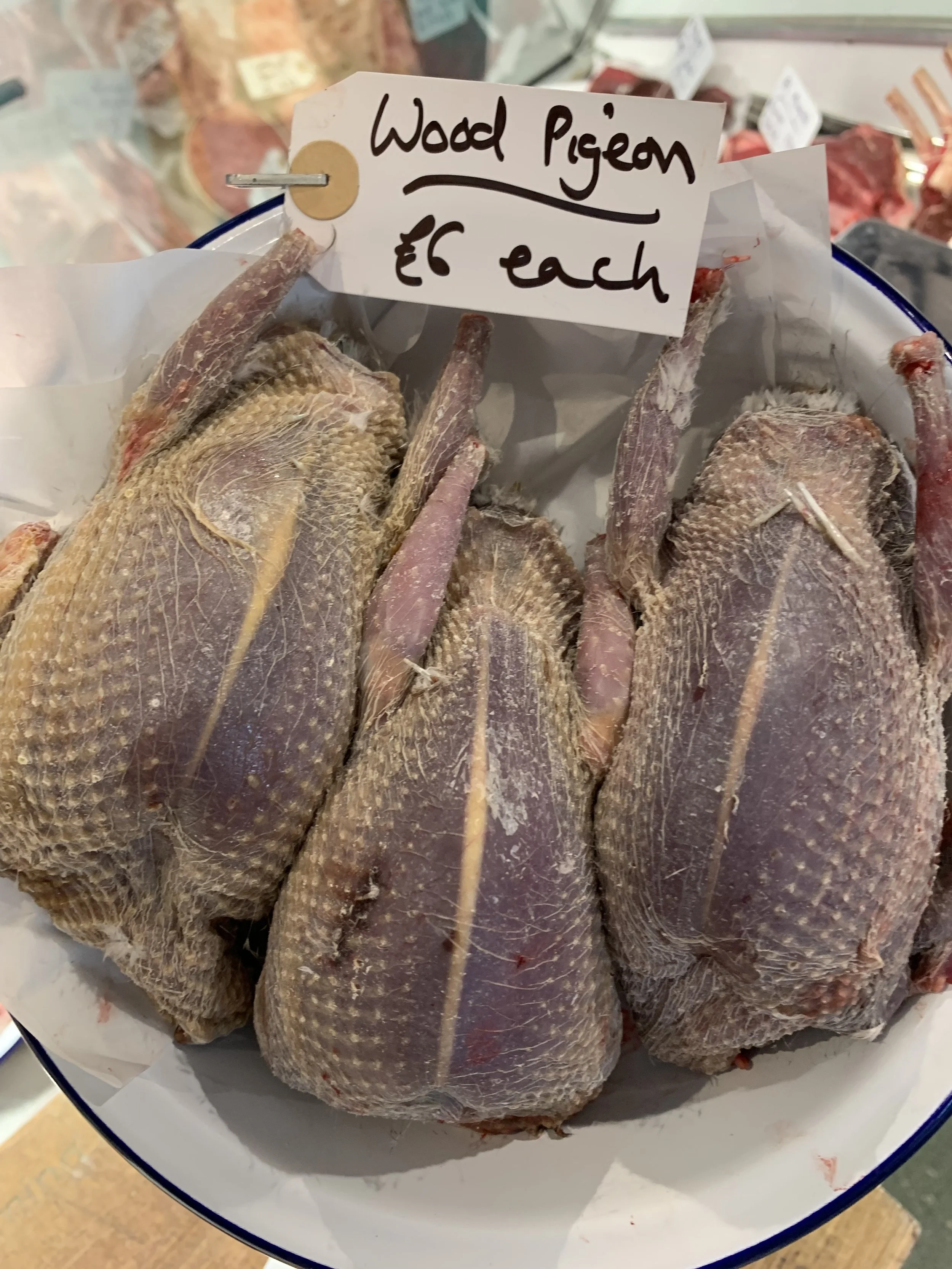 Pigeon.jpg
