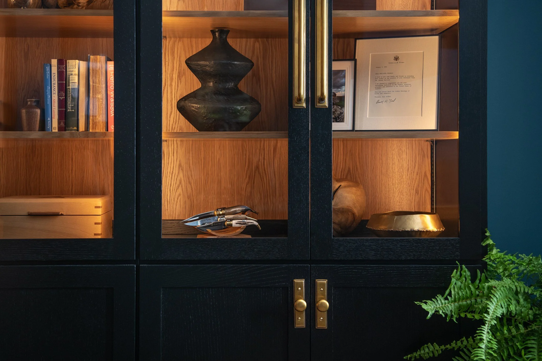 A black wooden cabinet with glass doors displays books, decorative vases, framed pictures, and a gold tray inside. A green fern is partially visible in the bottom right corner.