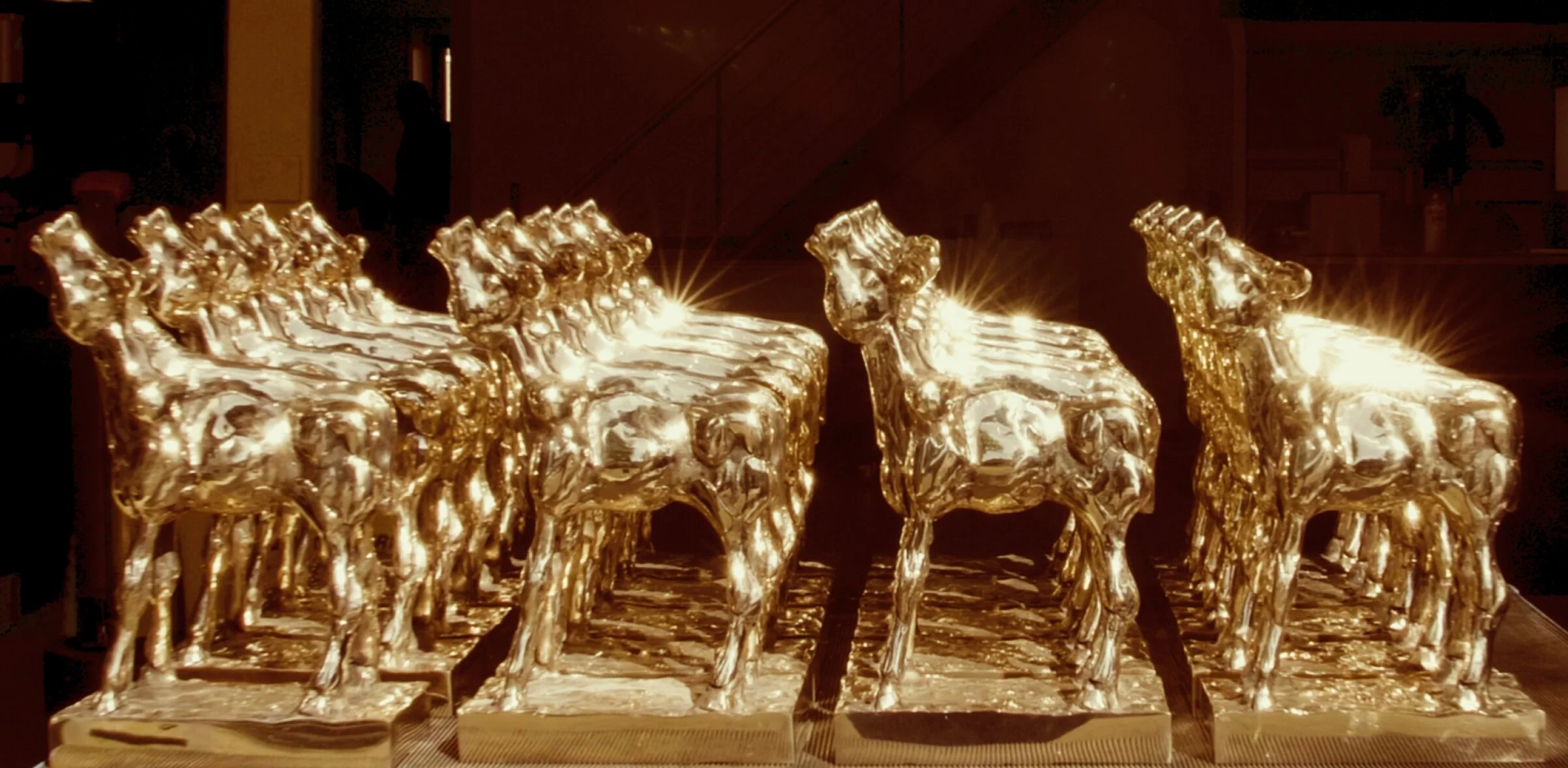 SELECTIE SPEELFILMS &amp; LANGE DOCUMENTAIRES GOUDEN KALF COMPETITIE