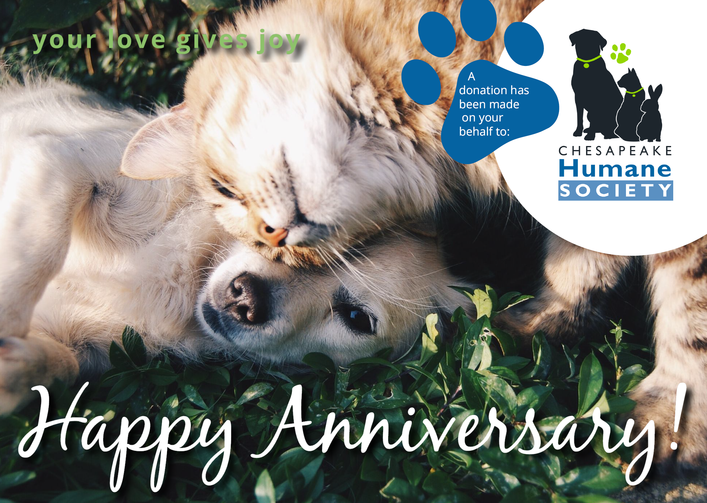 Happy Annivesary Ecard CHS.PNG